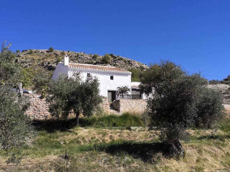 Rural Spanish Property For Sale Andalucia Spain Ref V2570